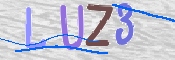CAPTCHA 驗證圖片