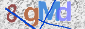 CAPTCHA 驗證圖片