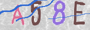 CAPTCHA 驗證圖片
