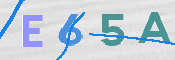 CAPTCHA 驗證圖片