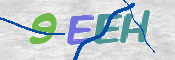CAPTCHA 驗證圖片