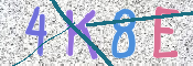 CAPTCHA 驗證圖片
