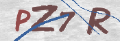 CAPTCHA 驗證圖片