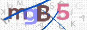 CAPTCHA 驗證圖片