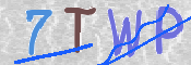 CAPTCHA 驗證圖片
