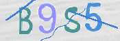 CAPTCHA 驗證圖片