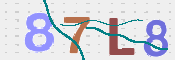 CAPTCHA 驗證圖片