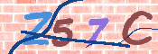 CAPTCHA 驗證圖片