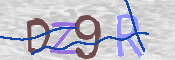 CAPTCHA 驗證圖片