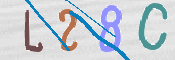 CAPTCHA 驗證圖片