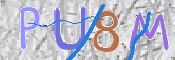 CAPTCHA 驗證圖片