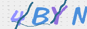 CAPTCHA 驗證圖片