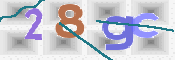 CAPTCHA 驗證圖片
