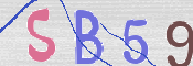 CAPTCHA 驗證圖片