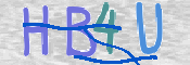 CAPTCHA 驗證圖片