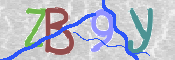 CAPTCHA 驗證圖片