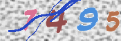 CAPTCHA 驗證圖片