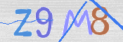 CAPTCHA 驗證圖片
