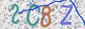 CAPTCHA 驗證圖片