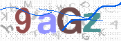 CAPTCHA 驗證圖片