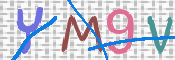CAPTCHA 驗證圖片