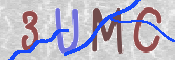 CAPTCHA 驗證圖片