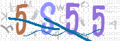 CAPTCHA 驗證圖片
