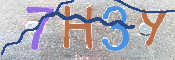 CAPTCHA 驗證圖片