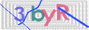 CAPTCHA 驗證圖片
