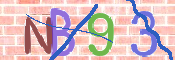 CAPTCHA 驗證圖片