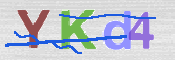 CAPTCHA 驗證圖片