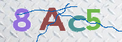 CAPTCHA 驗證圖片