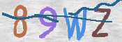CAPTCHA 驗證圖片