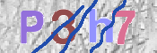 CAPTCHA 驗證圖片