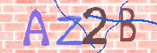 CAPTCHA 驗證圖片