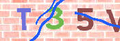 CAPTCHA 驗證圖片