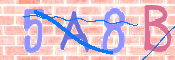 CAPTCHA 驗證圖片