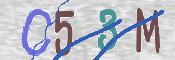 CAPTCHA 驗證圖片
