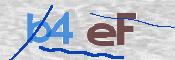 CAPTCHA 驗證圖片