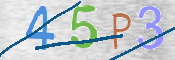 CAPTCHA 驗證圖片