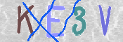 CAPTCHA 驗證圖片