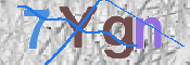 CAPTCHA 驗證圖片
