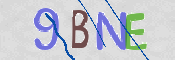 CAPTCHA 驗證圖片