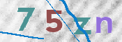 CAPTCHA 驗證圖片