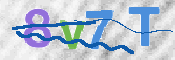 CAPTCHA 驗證圖片