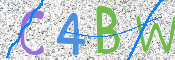 CAPTCHA 驗證圖片