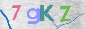 CAPTCHA 驗證圖片
