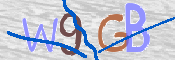 CAPTCHA 驗證圖片