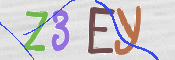CAPTCHA 驗證圖片