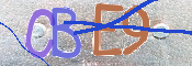 CAPTCHA 驗證圖片